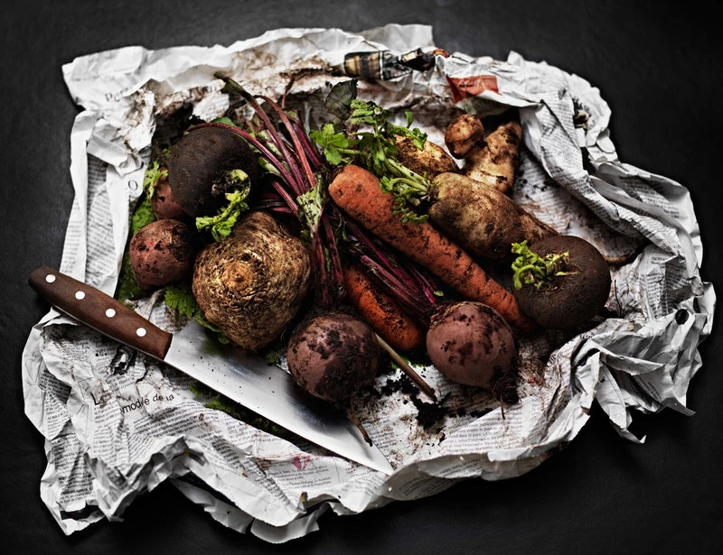 Fiskars Norr chef's knife